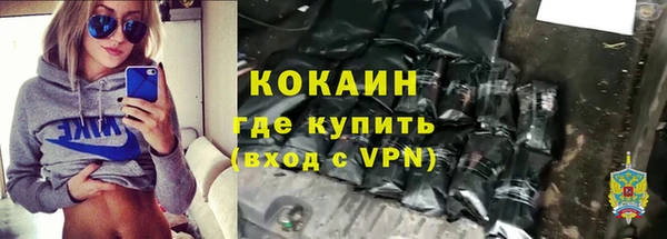шишки Елизово